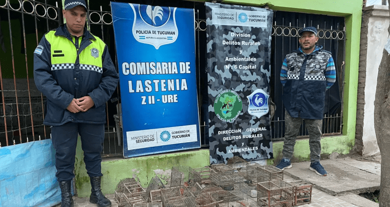 Rescataron 19 aves autóctonas durante un operativo policial