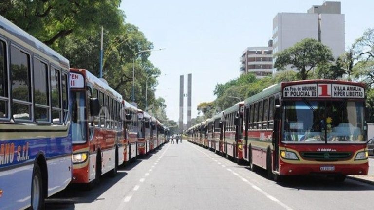 Este domingo se podrá viajar gratis para emitir el voto