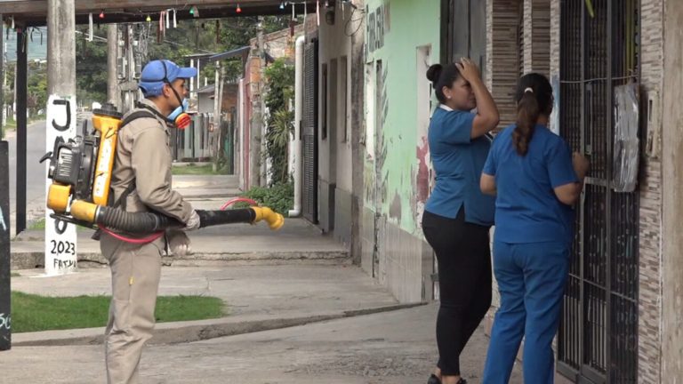 Dengue: A pesar de los esfuerzos, aún persisten criaderos de mosquitos según el Ministerio de Salud