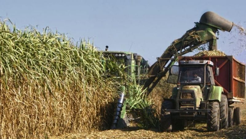 Reunión con industriales: la zafra se extenderá hasta finales de octubre