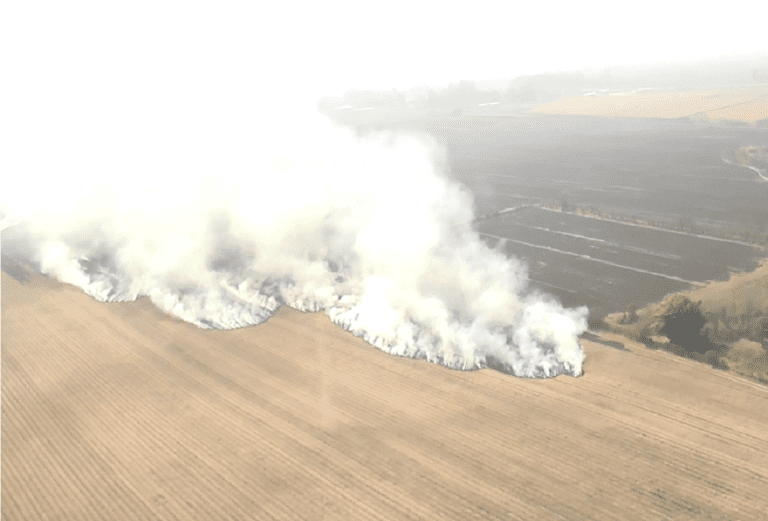 El viento zonda avivó focos de incendios en cañaverales