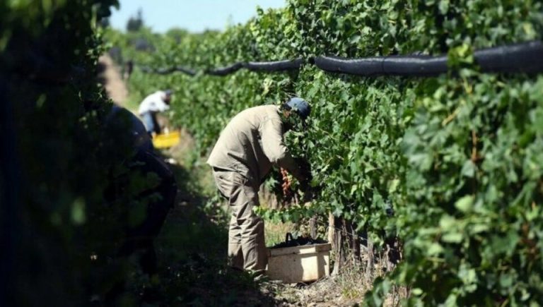 UATRE pidió que se eleve el monto de los Planes Intercosecha