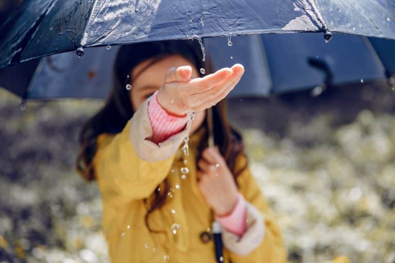 Pronóstico del tiempo en Tucumán para el viernes 8 de septiembre