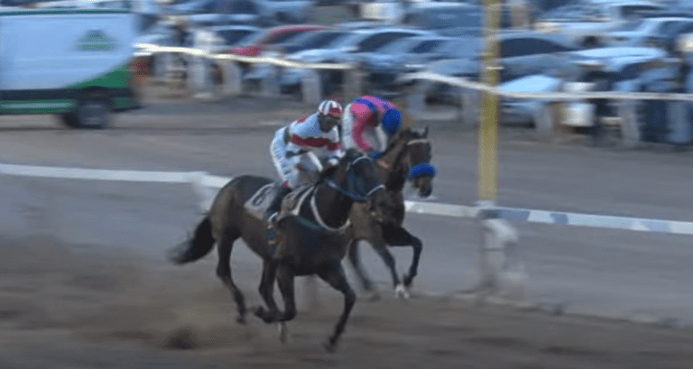 Carrera Batalla de Tucumán: Pertinax Joy fue el ganador