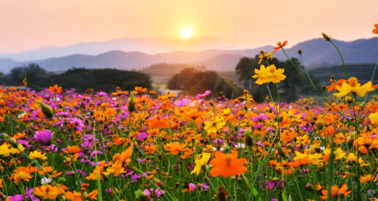 ¡Feliz día del Estudiante y de la Primavera!