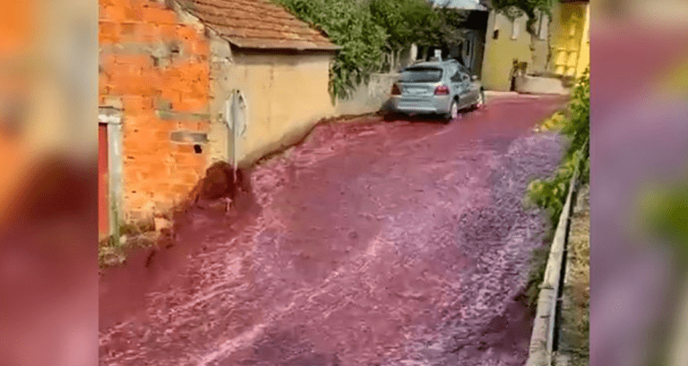 Tras un incidente en una destilería, las calles de Anadia se convirtieron en un “Río Tinto”