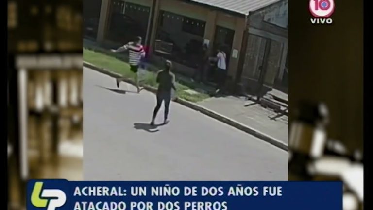 Dos perros atacaron ferozmente a un niño de dos años