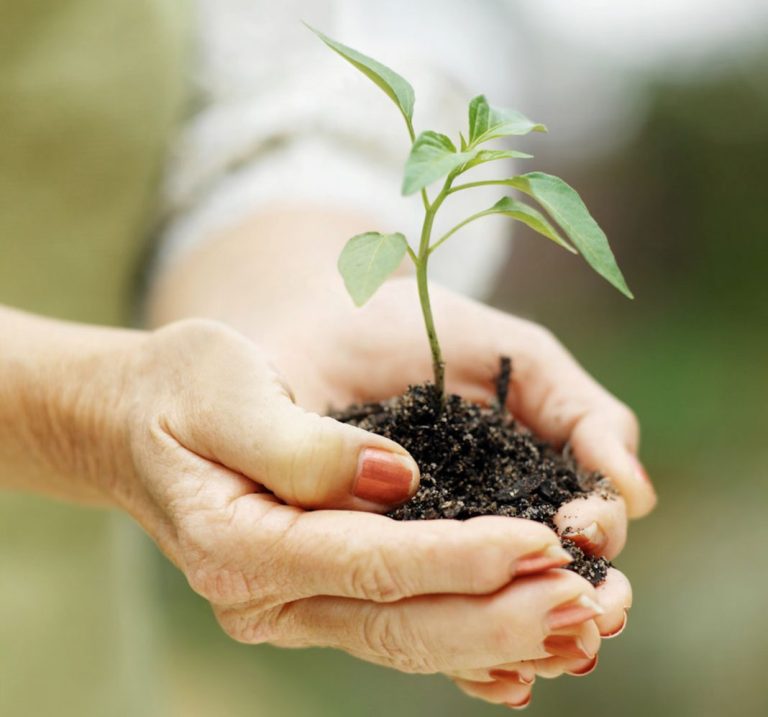 Se conmemora el Día Mundial de Protección de la Naturaleza