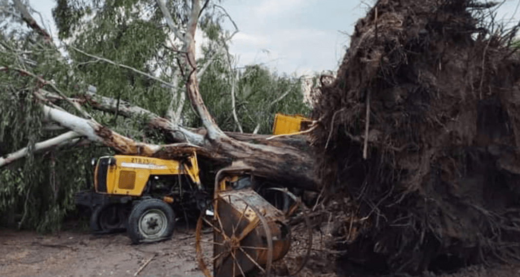 Defensa Civil trabaja en la localidad Burruyacu tras un intenso temporal