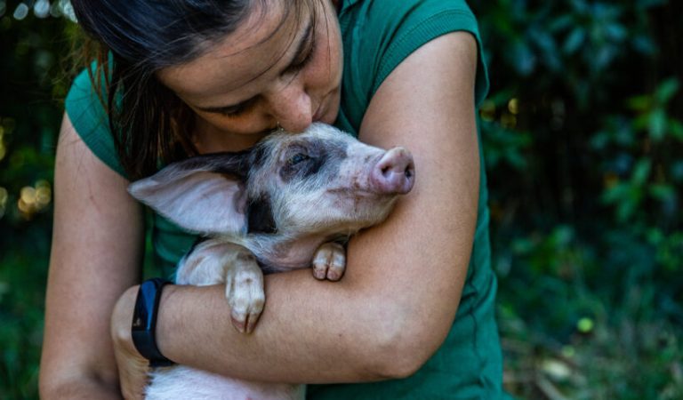 Día Mundial del Veganismo