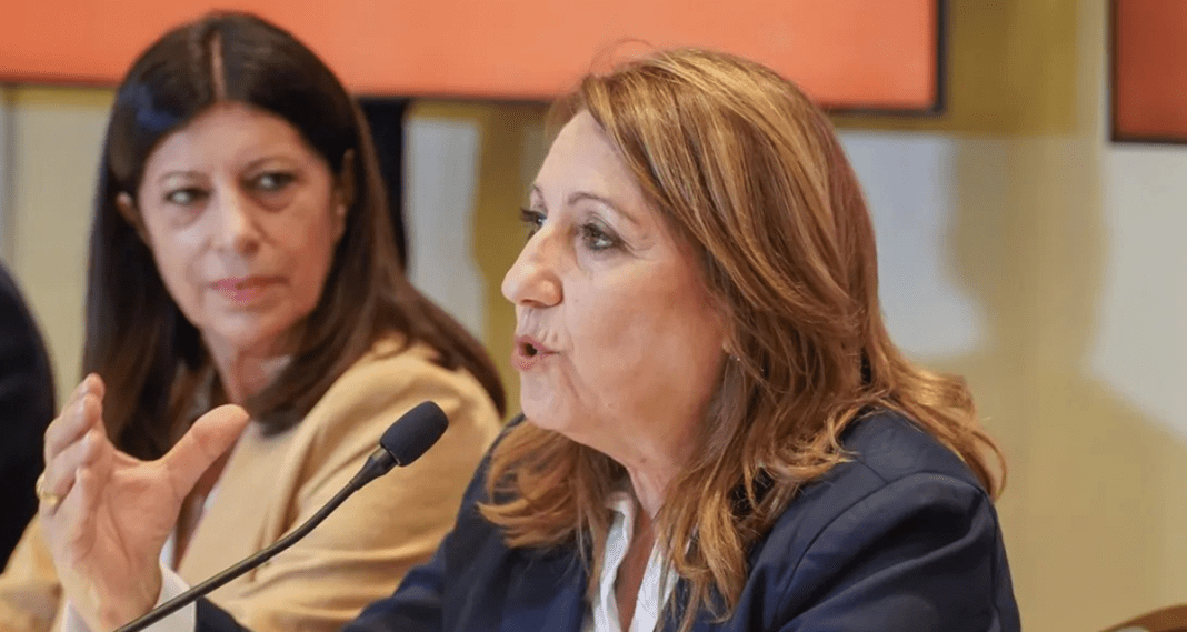 Fein instó a frenar el autoritarismo de Milei