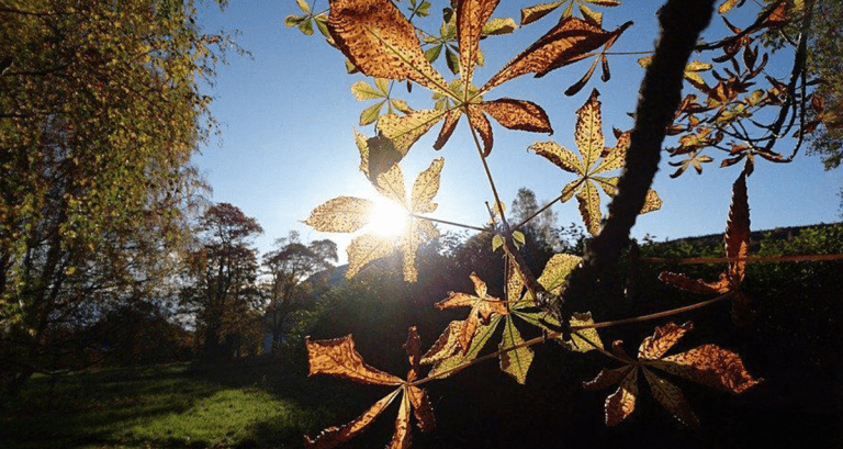 El SMN anuncia un fin de semana sin lluvia y con sol