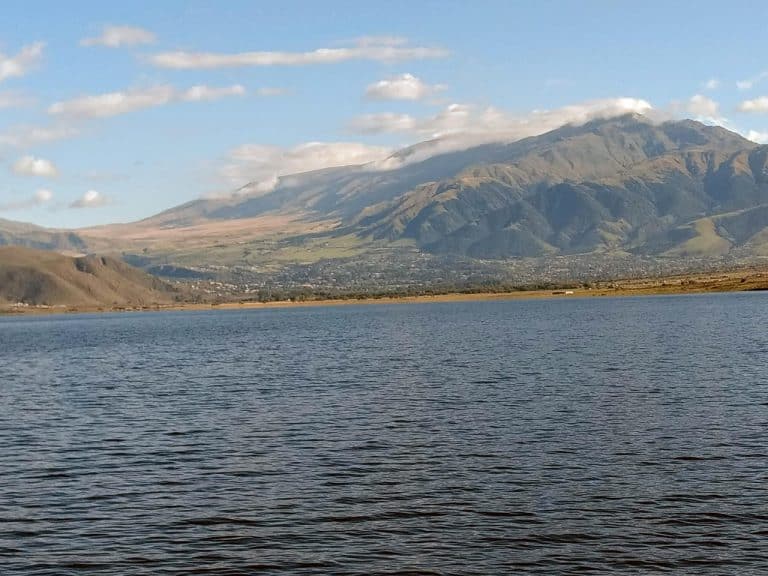 Olimpiadas del Viento: un proyecto para darle nueva vida al Mollar