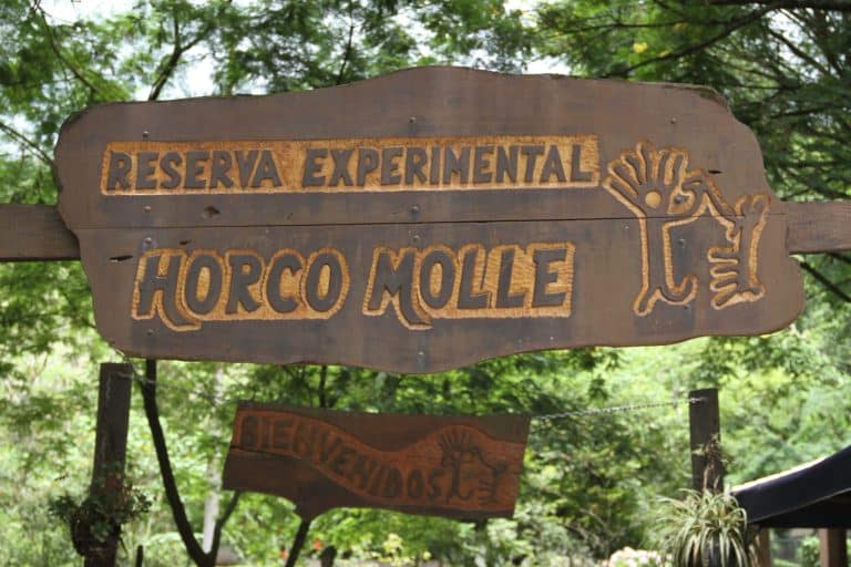 Aprovecha estas vacaciones y visitá la Reserva de Horco Molle