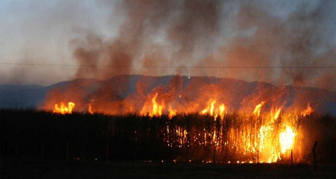 Los bomberos de Tucumán lograron contener varios incendios