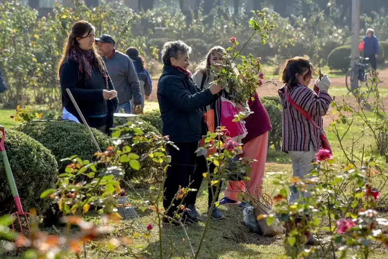 Regalarán esquejes del Rosedal del Parque 9 de Julio