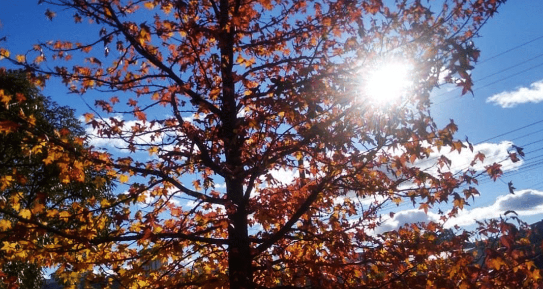 El tiempo en Tucumán: ¿un finde con nubes o con sol?