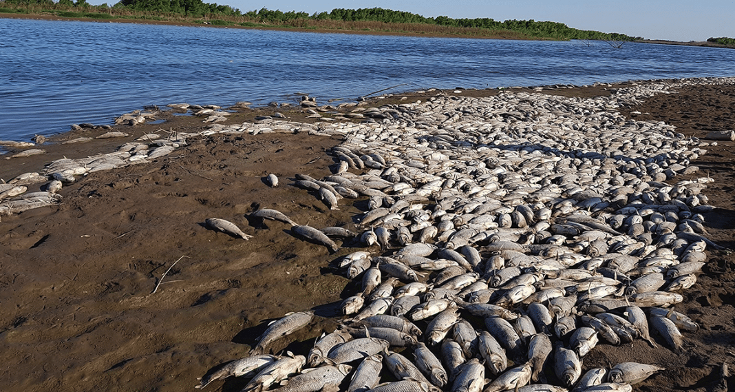 Multa de $17 millones al Ingenio Famaillá por contaminación del Río Salí