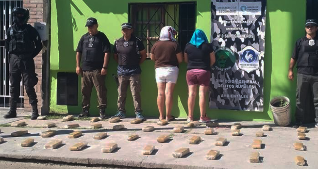 Sorpresa en Tucumán: investigaban una estafa y hallaron 75 kilos de marihuana